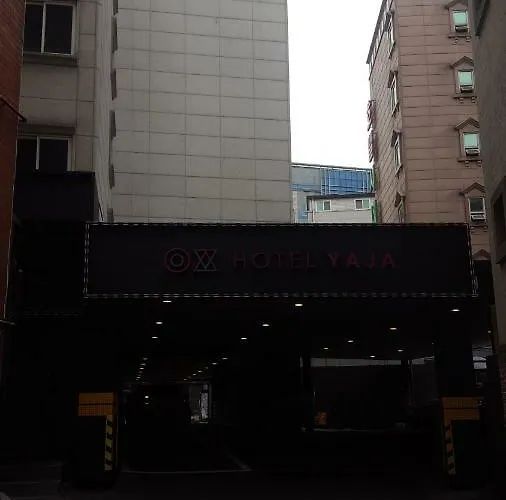 Yaja Jongno 2* ソウル特別市